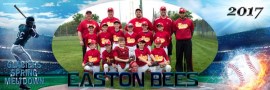 Easton Bees 9 with Coaches